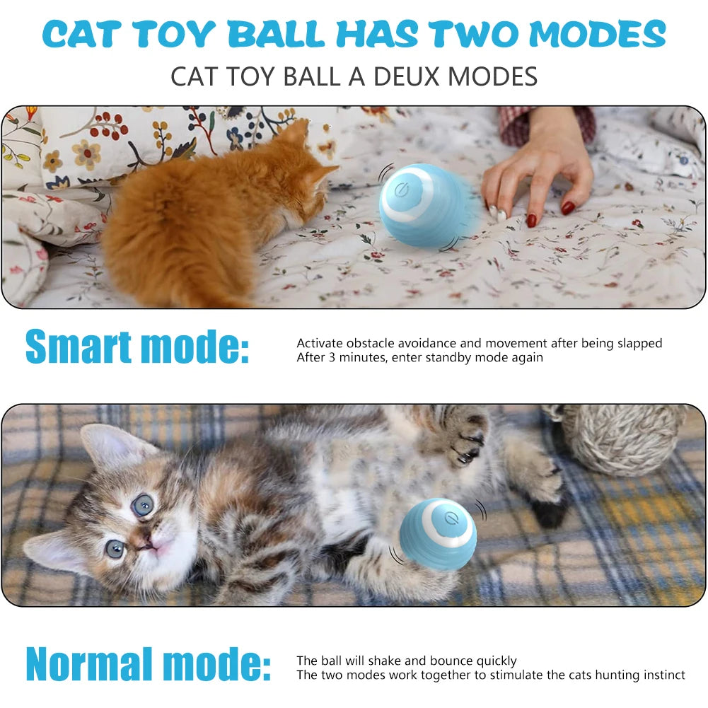 WhirlBall Play™ Smart Toy