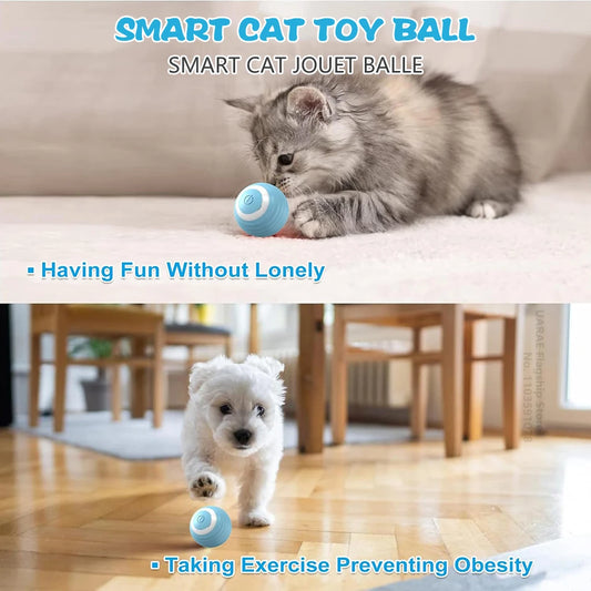 WhirlBall Play™ Smart Toy